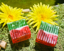 Load image into Gallery viewer, Immunity (Antiviral) Soap Bar - FREDA MAGIC